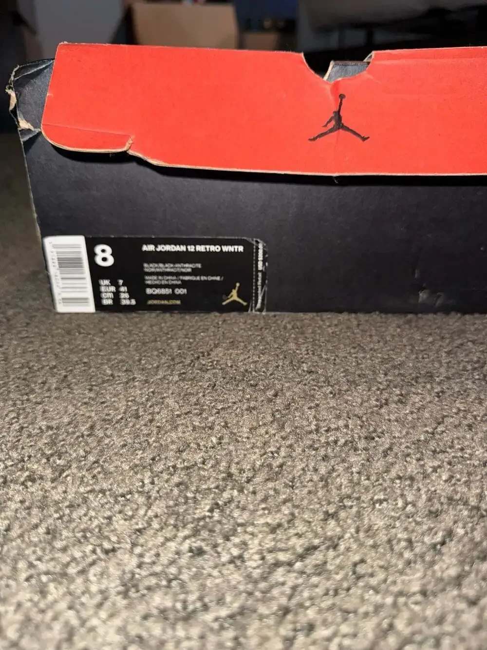 Jordan 12 retro